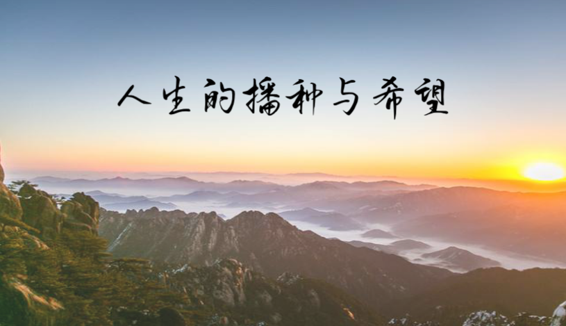 人生的播种与希望.png